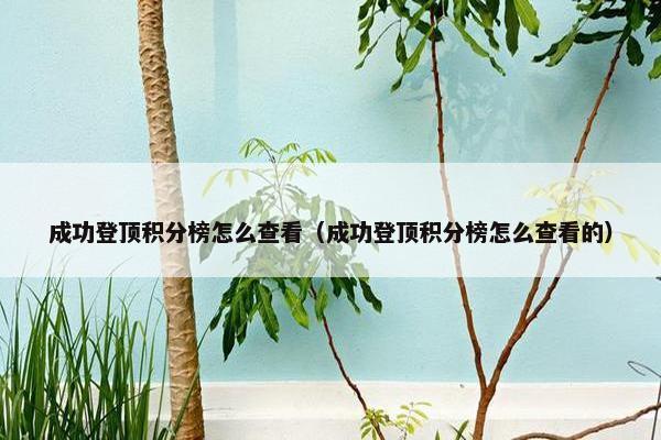成功登顶积分榜怎么查看（成功登顶积分榜怎么查看的）