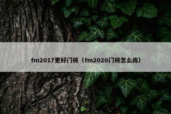 fm2017更好门将（fm2020门将怎么练）