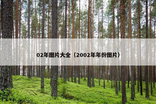 02年图片大全（2002年年份图片）