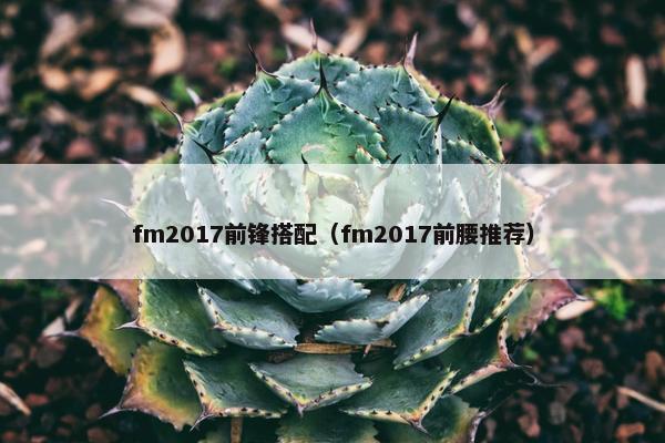 fm2017前锋搭配（fm2017前腰推荐）