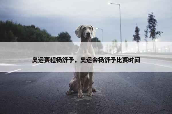 奥运赛程杨舒予，奥运会杨舒予比赛时间