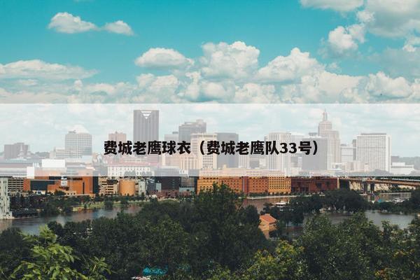 费城老鹰球衣（费城老鹰队33号）