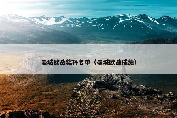 曼城欧战奖杯名单（曼城欧战成绩）