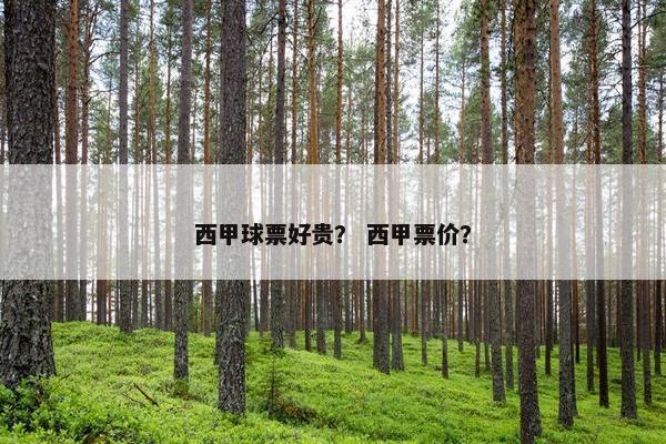 西甲球票好贵？ 西甲票价？
