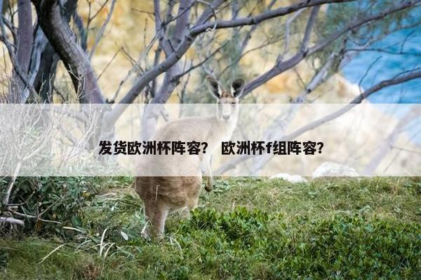 发货欧洲杯阵容？ 欧洲杯f组阵容？
