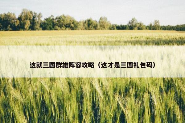 这就三国群雄阵容攻略（这才是三国礼包码）