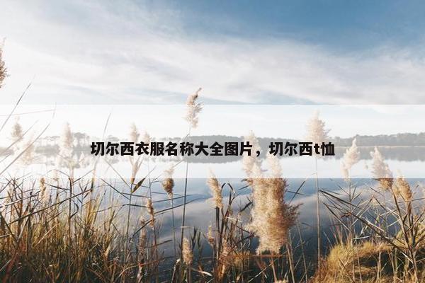 切尔西衣服名称大全图片，切尔西t恤