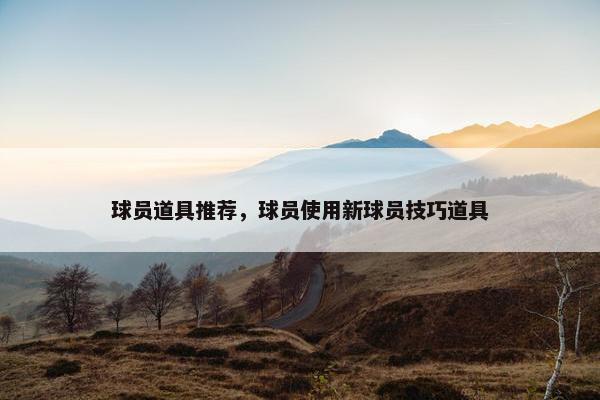 球员道具推荐，球员使用新球员技巧道具