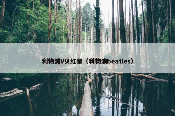 利物浦V贝红星（利物浦beatles）