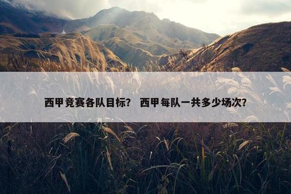 西甲竞赛各队目标？ 西甲每队一共多少场次？