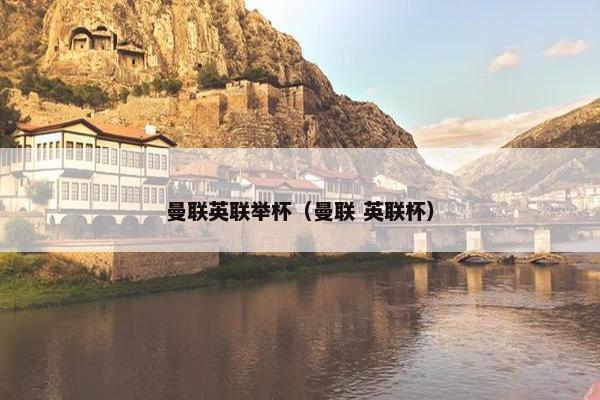 曼联英联举杯(曼联 英联杯) 曼联英联举杯(曼联 英联杯)