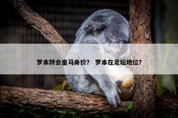 罗本转会皇马身价？ 罗本在足坛地位？
