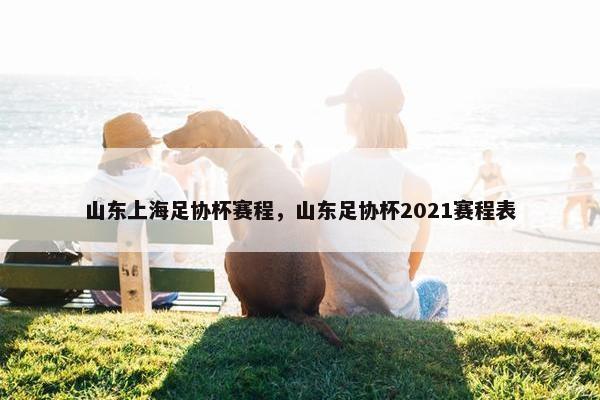 山东上海足协杯赛程，山东足协杯2021赛程表