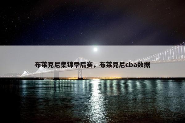 布莱克尼集锦季后赛，布莱克尼cba数据