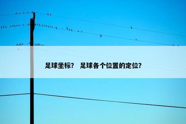 足球坐标？ 足球各个位置的定位？