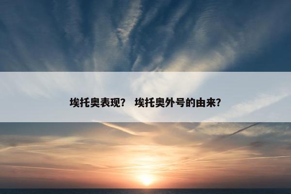 埃托奥表现？ 埃托奥外号的由来？