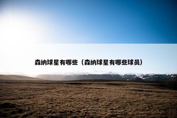 森纳球星有哪些（森纳球星有哪些球员）