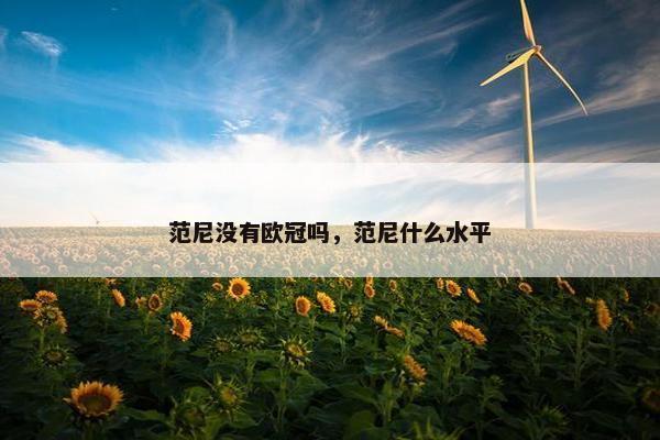 范尼没有欧冠吗，范尼什么水平