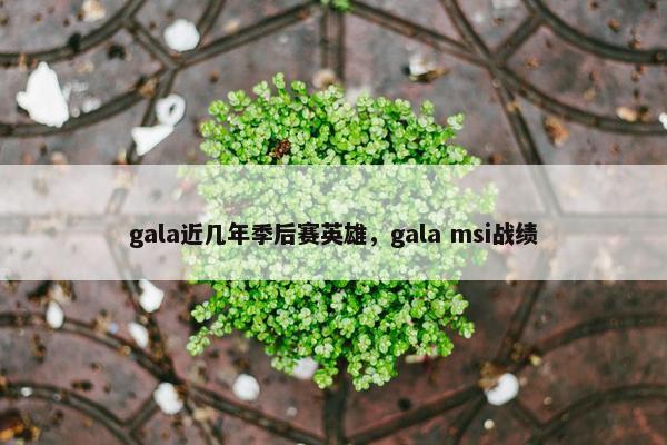 gala近几年季后赛英雄，gala msi战绩