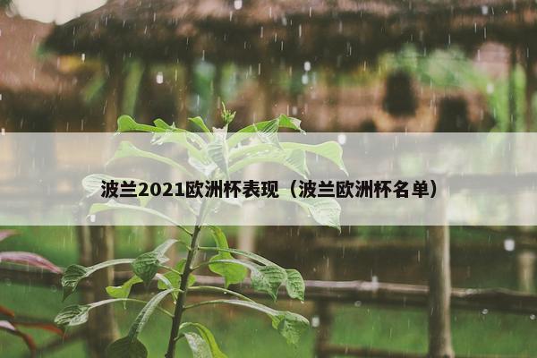 波兰2021欧洲杯表现（波兰欧洲杯名单）