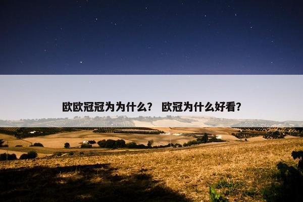 欧欧冠冠为为什么？ 欧冠为什么好看？