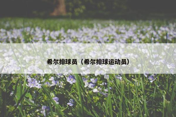 希尔排球员（希尔排球运动员）