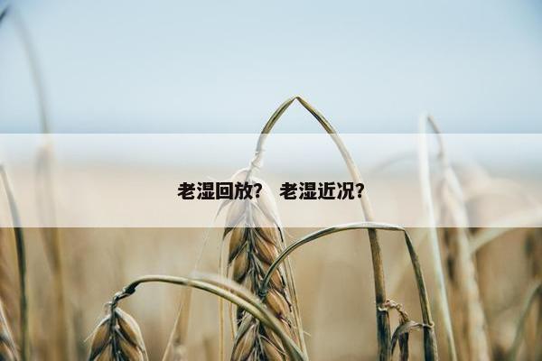 老湿回放？ 老湿近况？