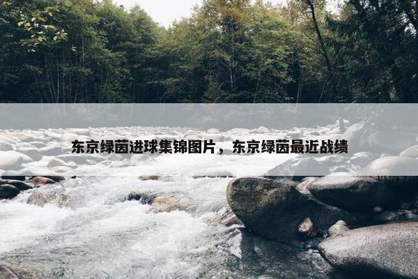 东京绿茵进球集锦图片，东京绿茵最近战绩