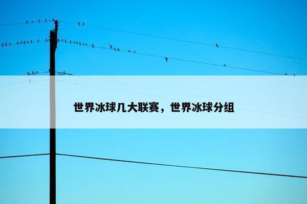 世界冰球几大联赛，世界冰球分组