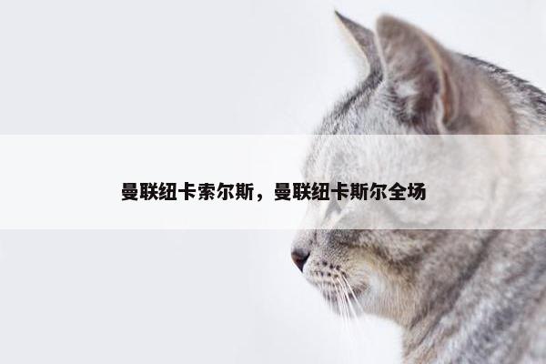 曼联纽卡索尔斯，曼联纽卡斯尔全场