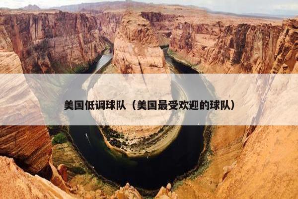 美国低调球队（美国最受欢迎的球队）