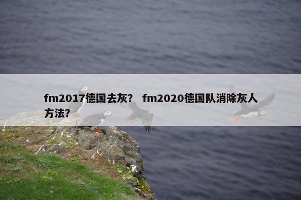 fm2017德国去灰？ fm2020德国队消除灰人方法？