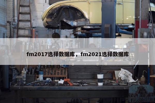 fm2017选择数据库，fm2021选择数据库