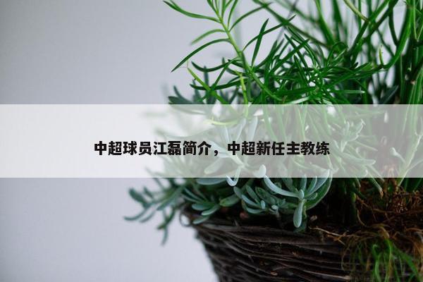 中超球员江磊简介，中超新任主教练
