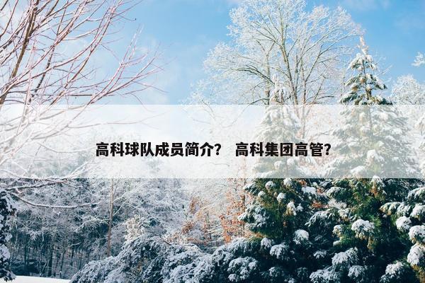 高科球队成员简介？ 高科集团高管？
