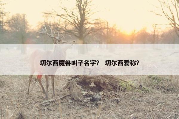 切尔西魔兽叫子名字？ 切尔西爱称？