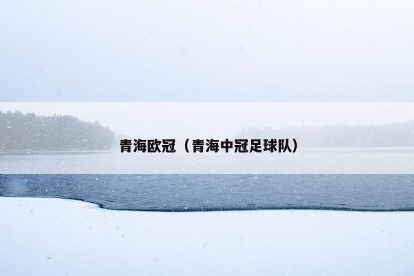 青海欧冠（青海中冠足球队）
