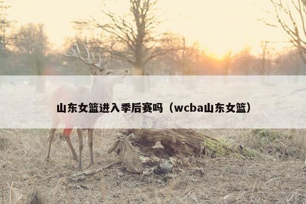 山东女篮进入季后赛吗（wcba山东女篮）