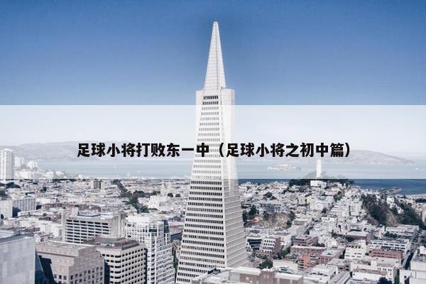 足球小将打败东一中（足球小将之初中篇）