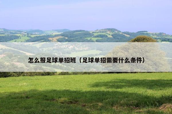 怎么报足球单招班（足球单招需要什么条件）