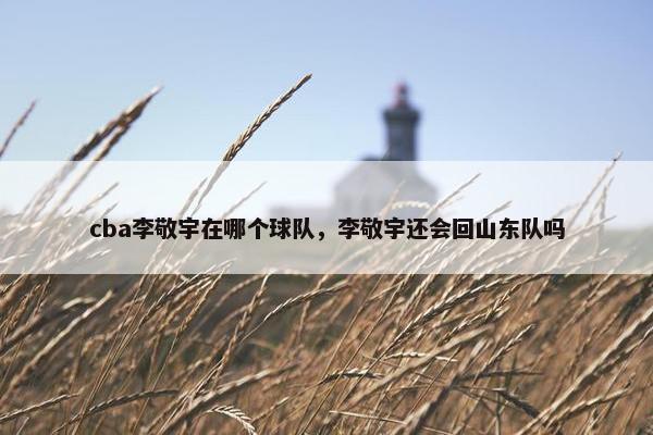 cba李敬宇在哪个球队，李敬宇还会回山东队吗