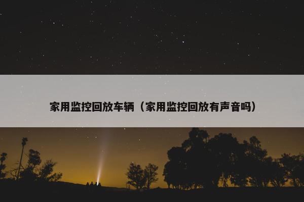 家用监控回放车辆（家用监控回放有声音吗）