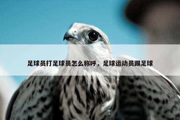 足球员打足球员怎么称呼，足球运动员踢足球