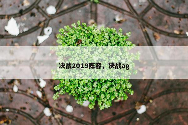决战2019阵容，决战ag