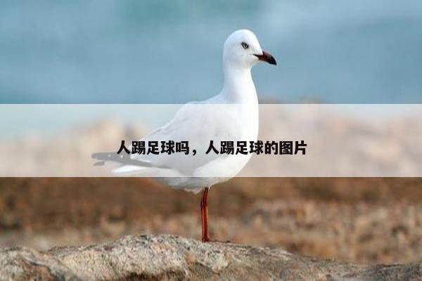 人踢足球吗，人踢足球的图片