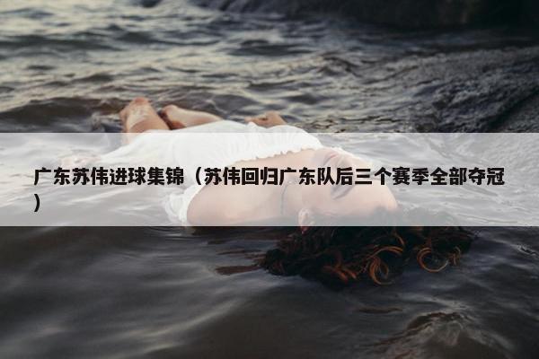 广东苏伟进球集锦（苏伟回归广东队后三个赛季全部夺冠）