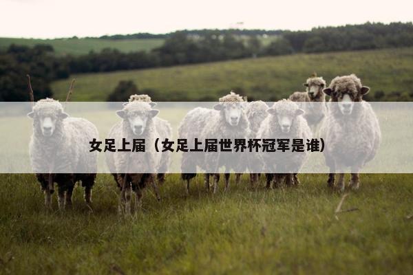 女足上届（女足上届世界杯冠军是谁）