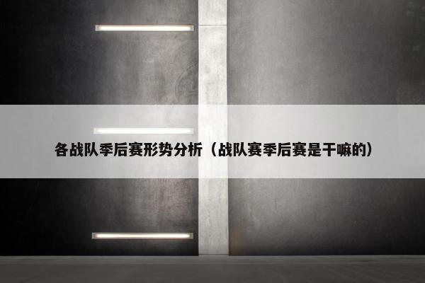 各战队季后赛形势分析（战队赛季后赛是干嘛的）