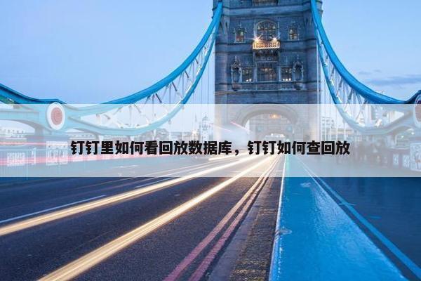 钉钉里如何看回放数据库，钉钉如何查回放