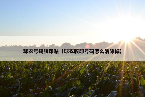 球衣号码胶印贴（球衣胶印号码怎么清除掉）